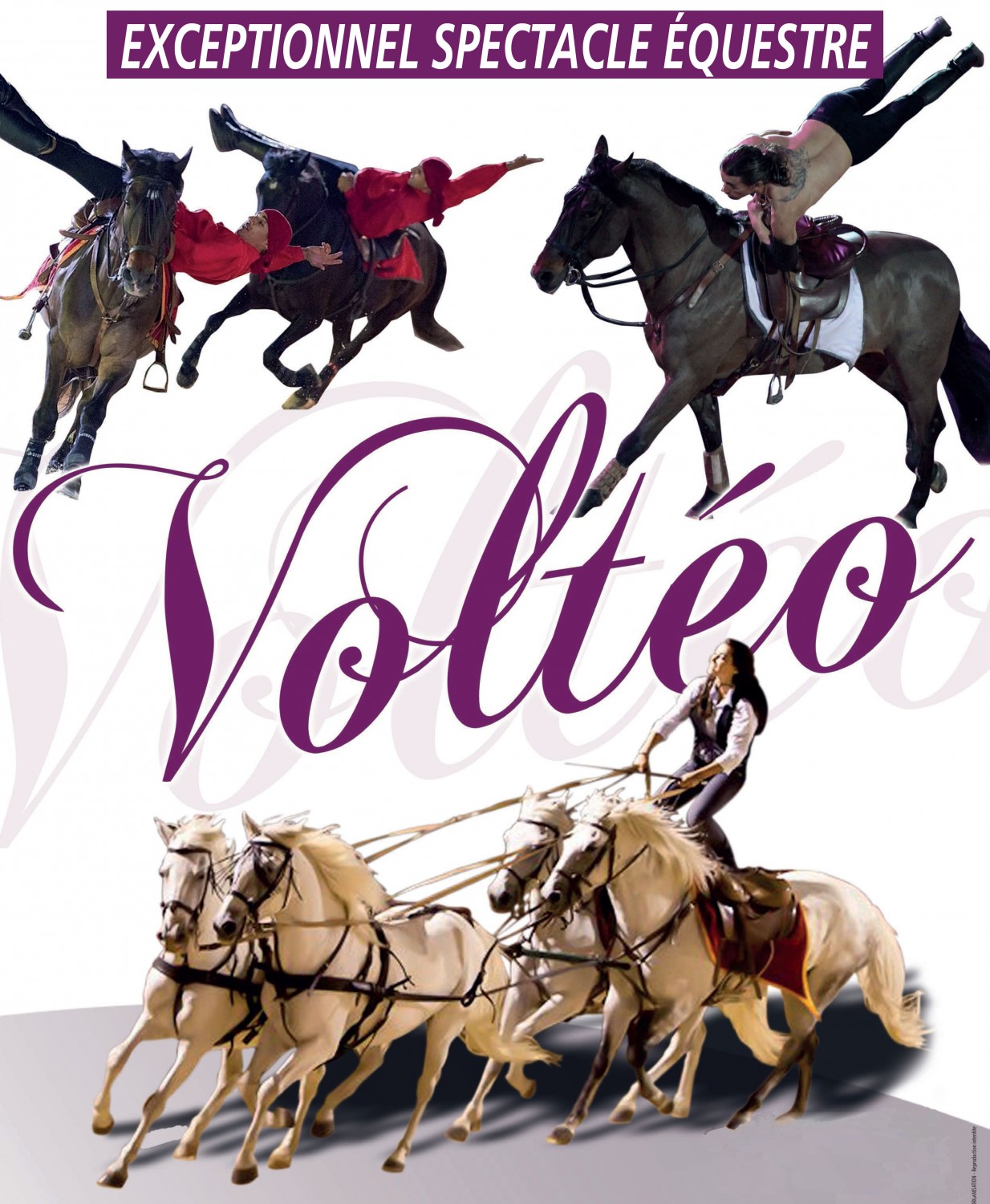 2019 06 17 175053 ill1 spectacle equestre volteopg