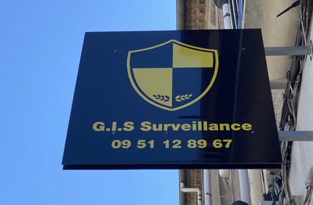 gis surveillance 4