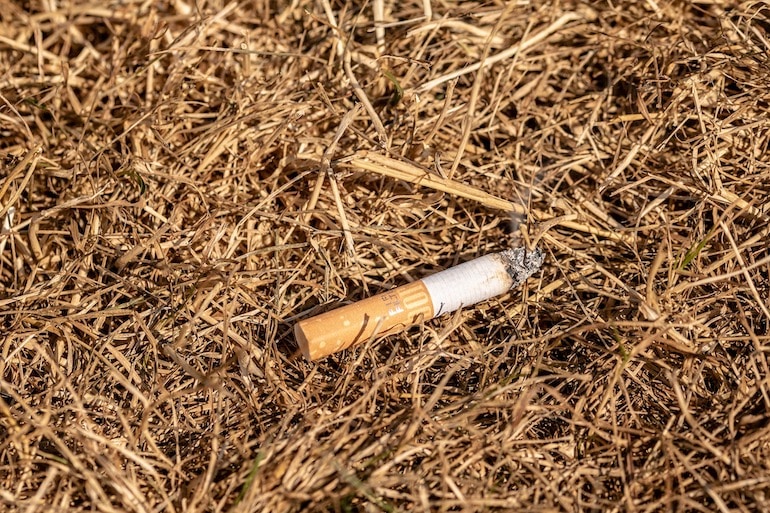 Un mégot de cigarette jeté dans de la paille