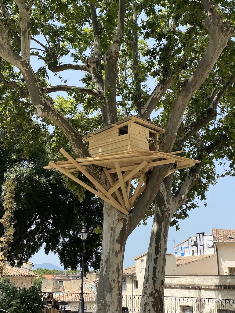 Une cabane perchée installée par l'artiste Tadashi Kawamata dans un arbre de la place de la Canourgue, à Montpellier.