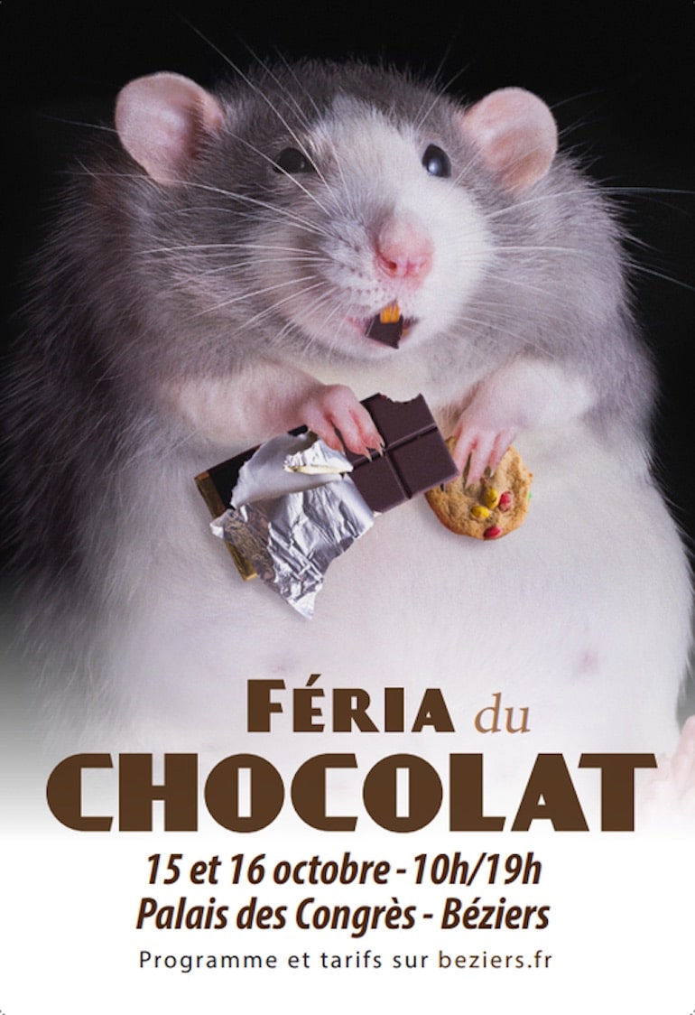 Affiche Féria du chocolat