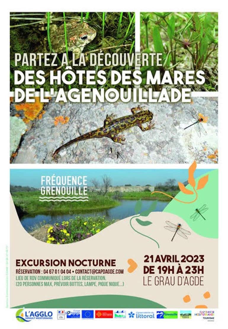 L'affiche de l'événement © Agglo Hérault Méditerranée